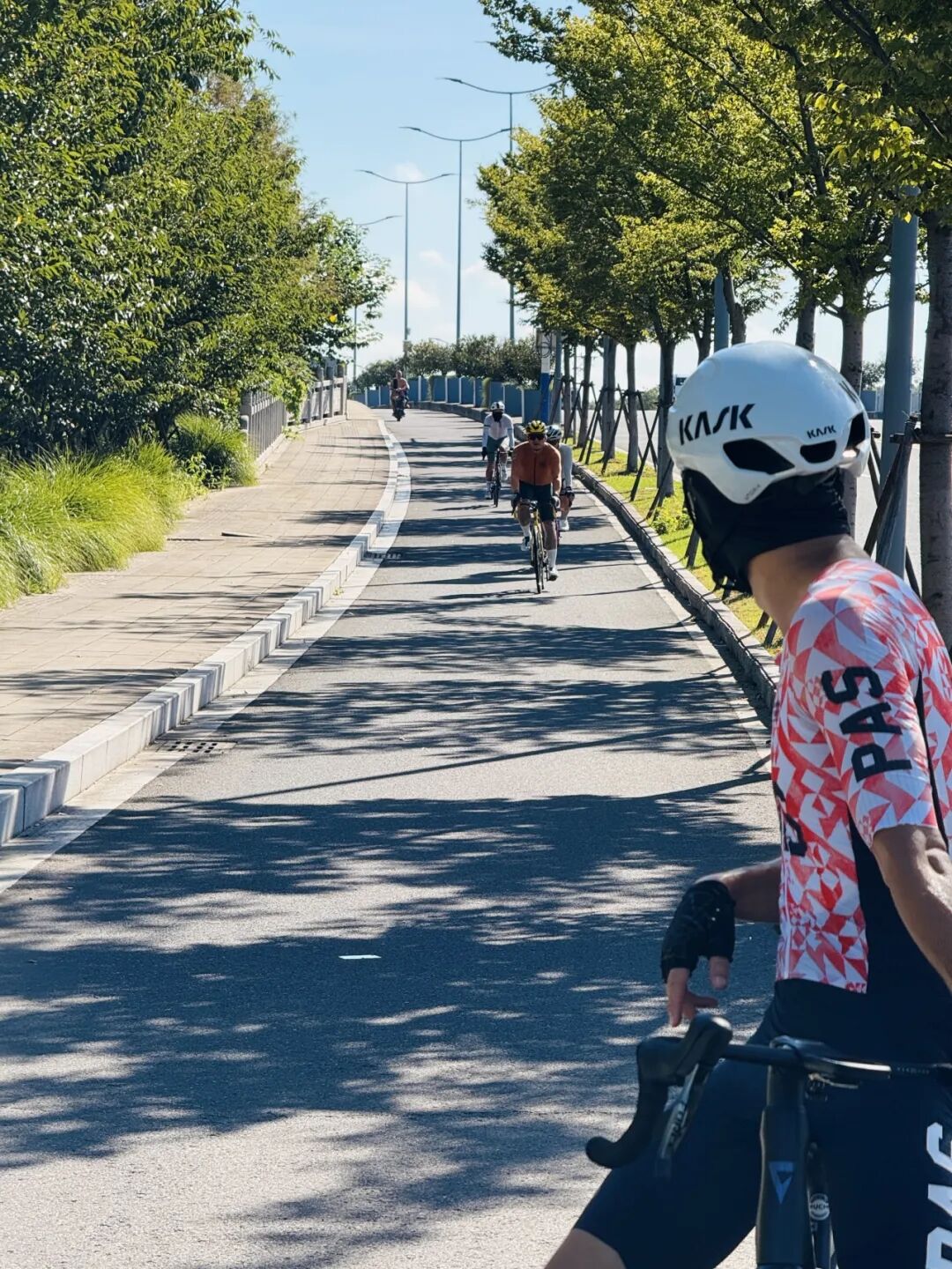 MCC长三角丨823崇明岛骑游