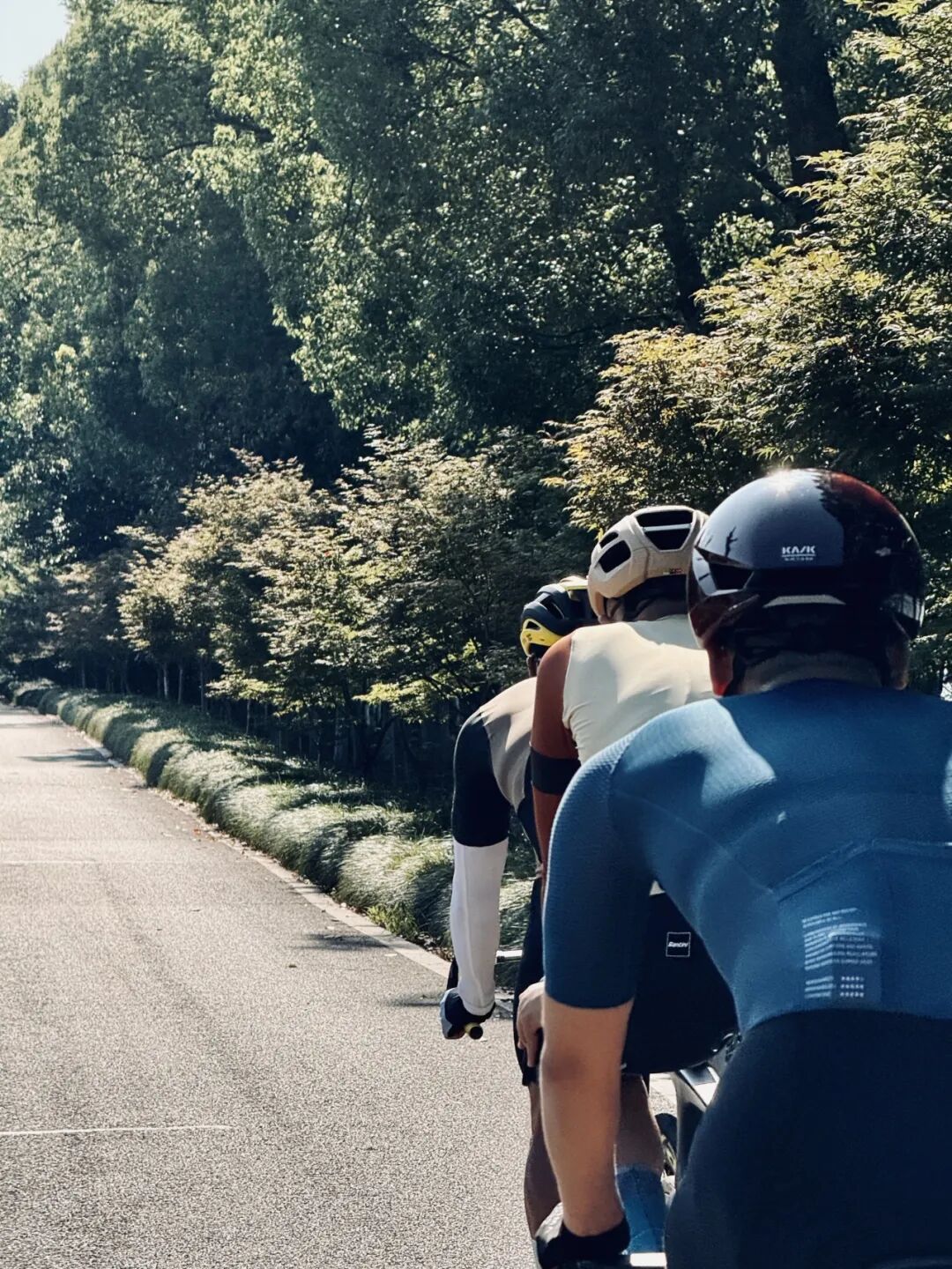 MCC710G530龙腾大道晨骑