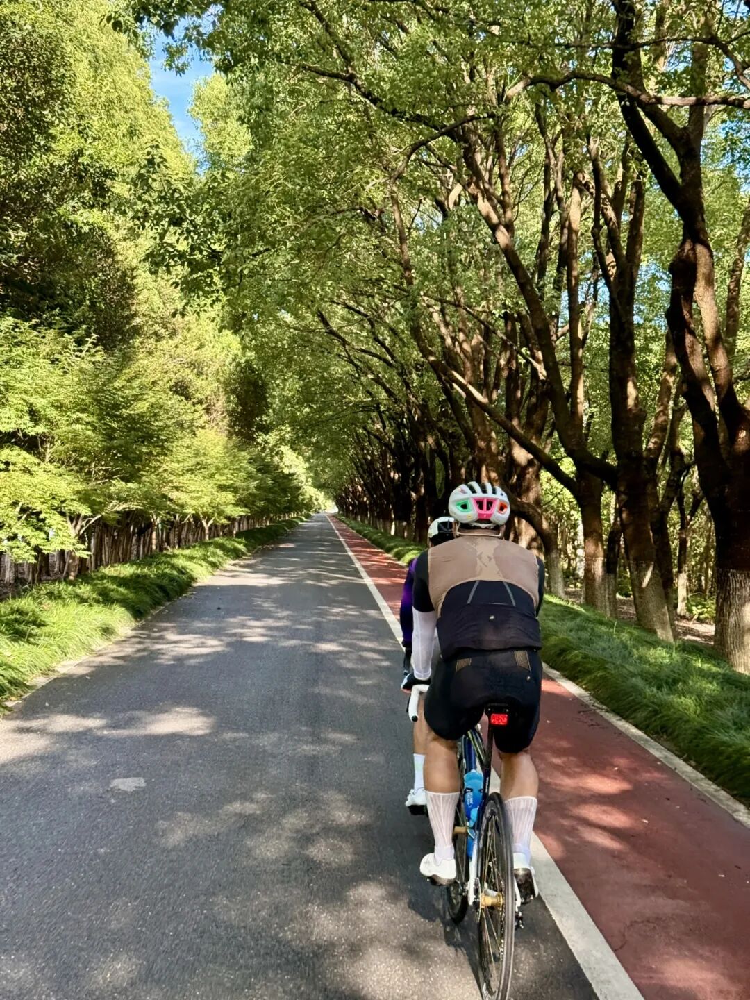 MCC724G530晨骑苗江路绕圈