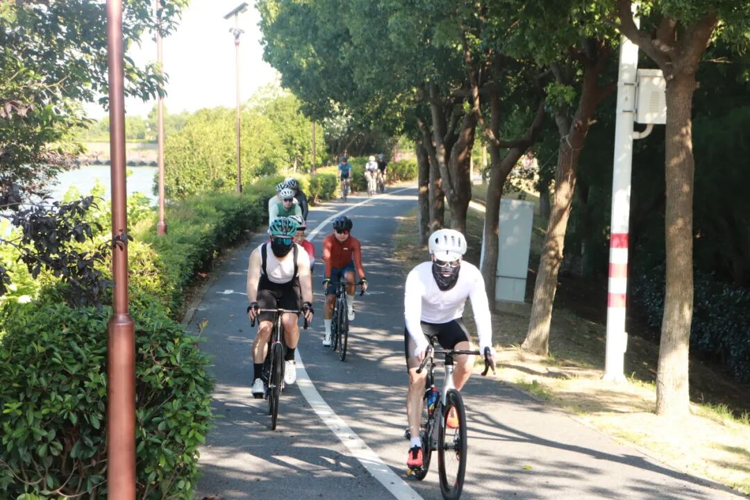 MCC710G530龙腾大道晨骑