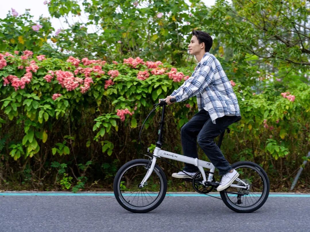 [2025-11-12]告别选择困难新手的第一台折叠车答案就是大行P8