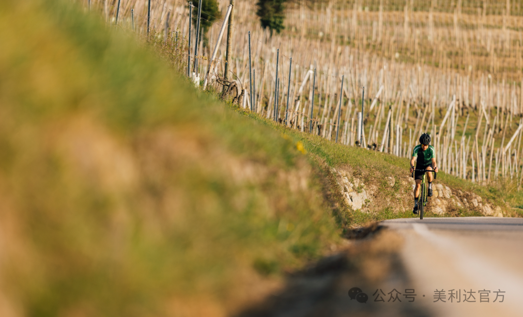 [2025-03-28]美利达车友故事小男孩与自行车