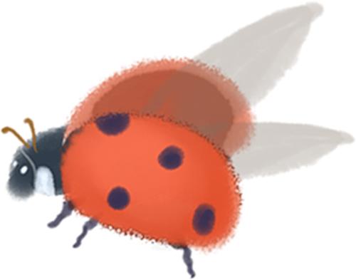 [2025-06-06]FUN RIDER 风锐 16全新车款上市