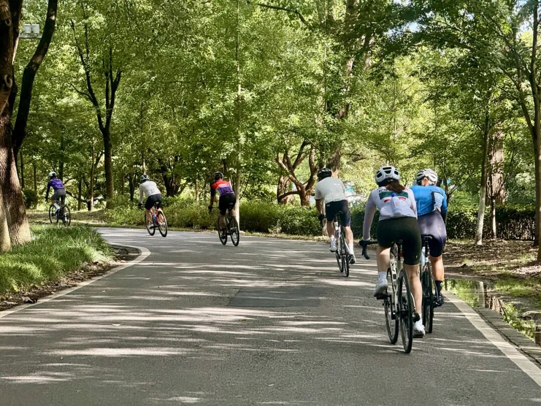 MCC724G530晨骑苗江路绕圈