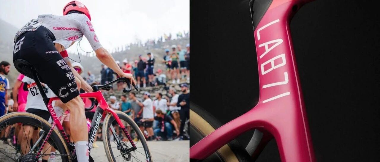 欢迎来到 EVO 的国度