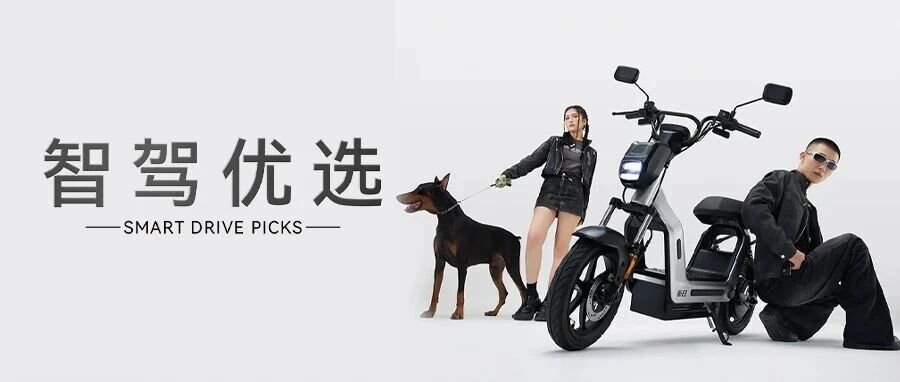 @所有人，新日全系新国标车型矩阵！