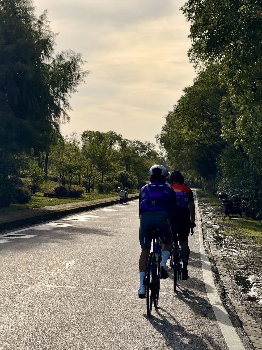 MCC724G530晨骑苗江路绕圈