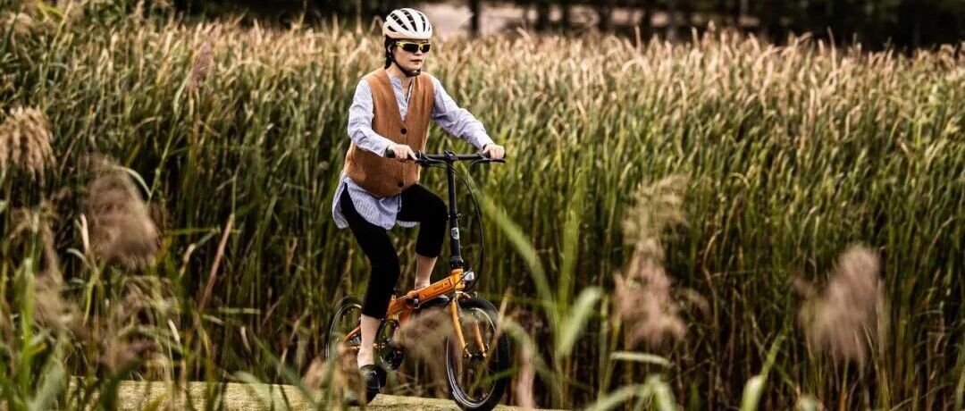 终极大魔王 经典再续 | ARCHER P8折叠车横向测评