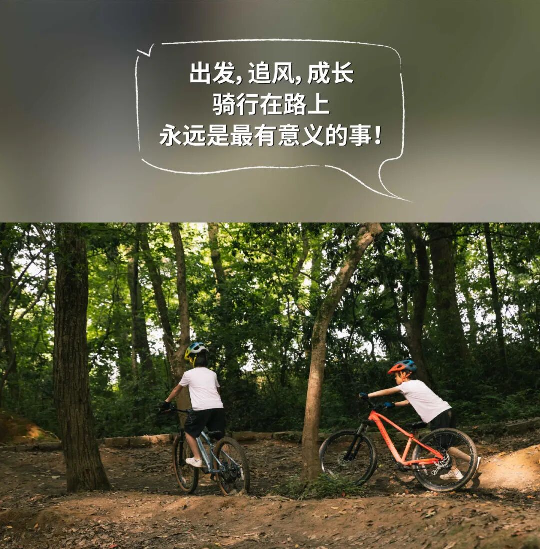 [2024-08-09]请签收你的大玩具