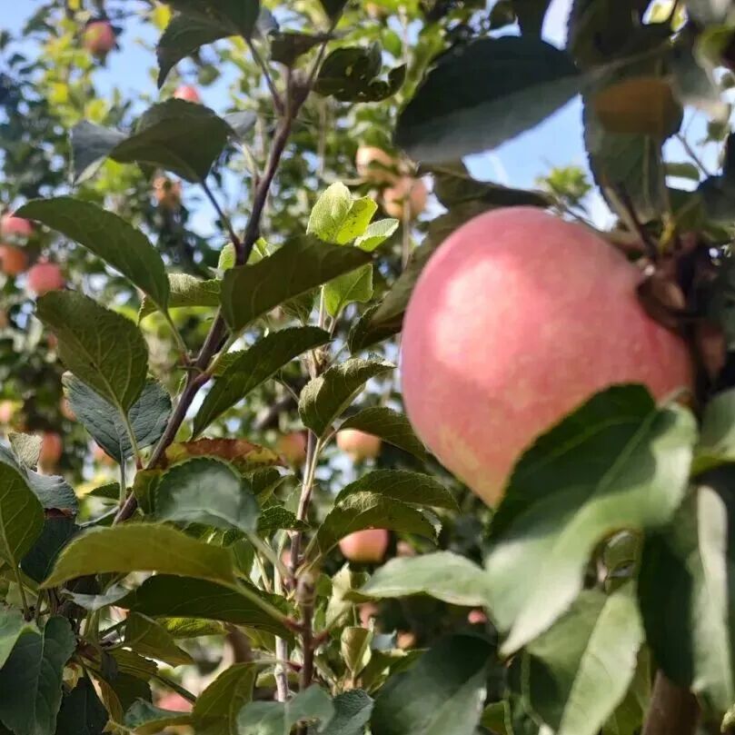 [2025-10-22]赛道介绍丨TREK100北京站