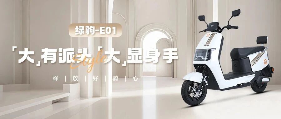 E01（1.0版），大有派头，大显身手