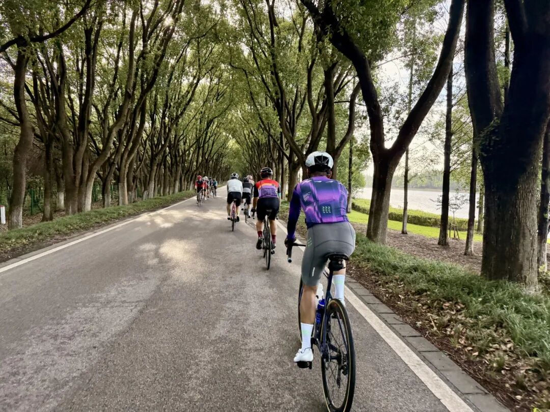 MCC724G530晨骑苗江路绕圈