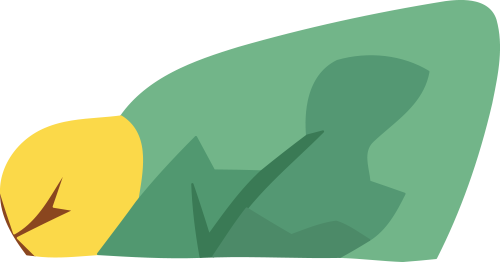 [2025-07-04]ISPOSHANGHAI2025盛大开幕DAHON大行快车道点燃户外运动激情