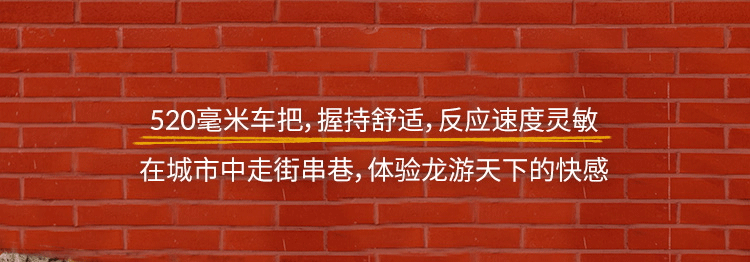[2024-01-31]龙年限定丨Speed500新色登场