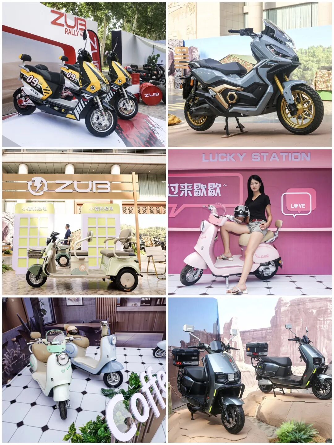 [2025-01-01]五星钻豹2024产品出新营销破圈智造出众品牌出海