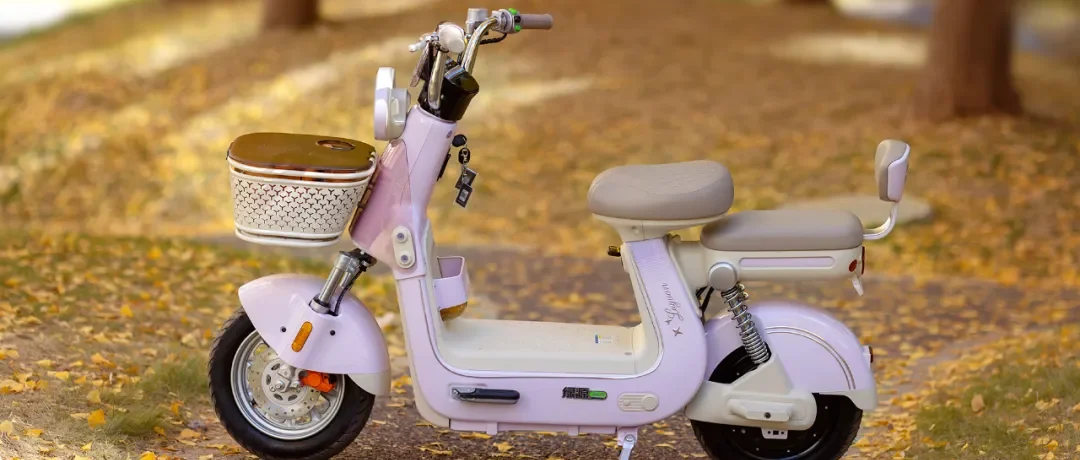 有车筐，能带娃！绿源X30，成就国标新时代的实用主义优选！