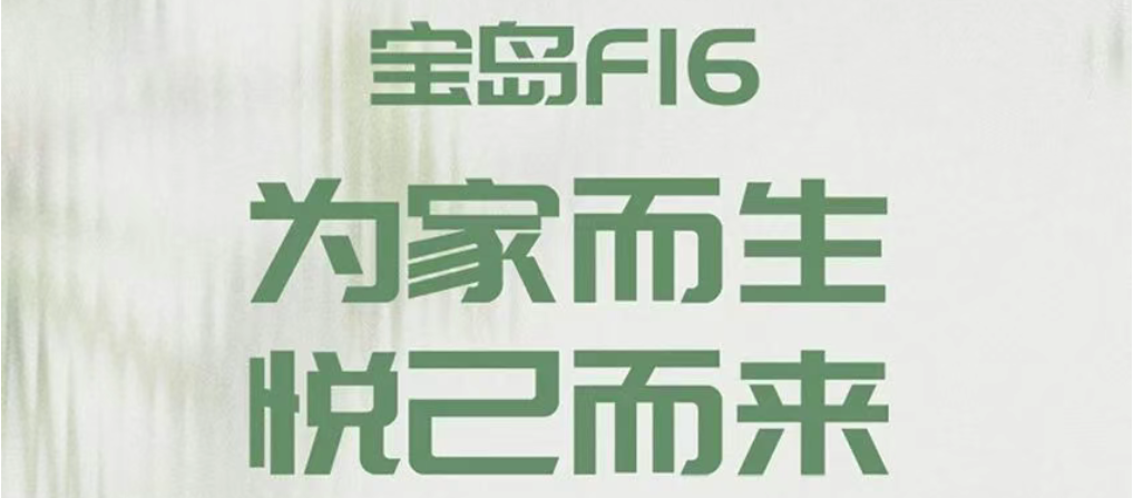 宝岛|F16 为家而生 悦己而来