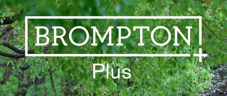 粤骑粤上瘾！与BROMPTON共赴深圳逛骑之约