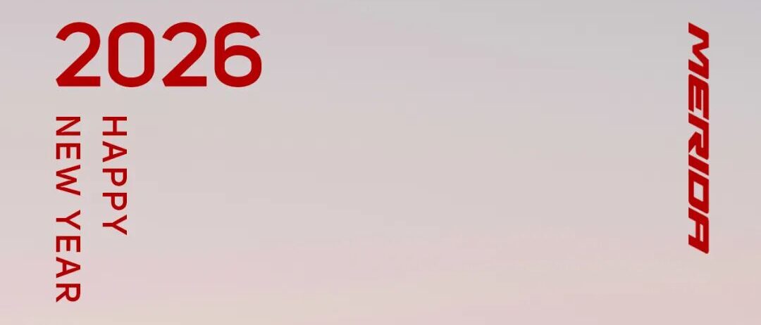 心向热爱  轮动新年