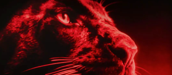 “MAX25周年纪念版” 限定登场