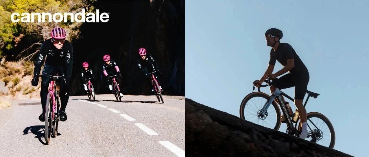 SuperSix EVO 或 Synapse: 哪款公路自行车适合你?