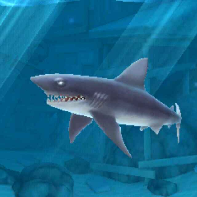 你的新年签是____