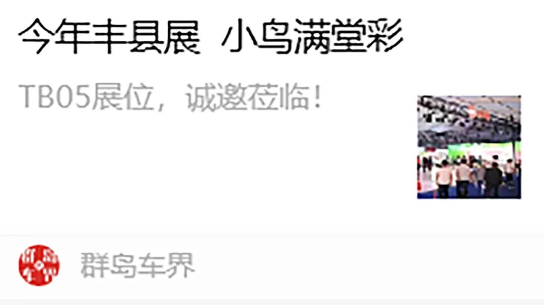 [2024-04-25]小鸟拉风丰县展