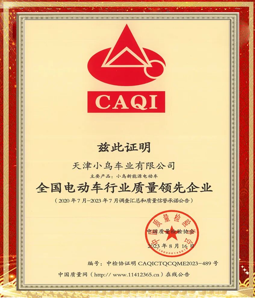 小鸟什么能13年持续领先