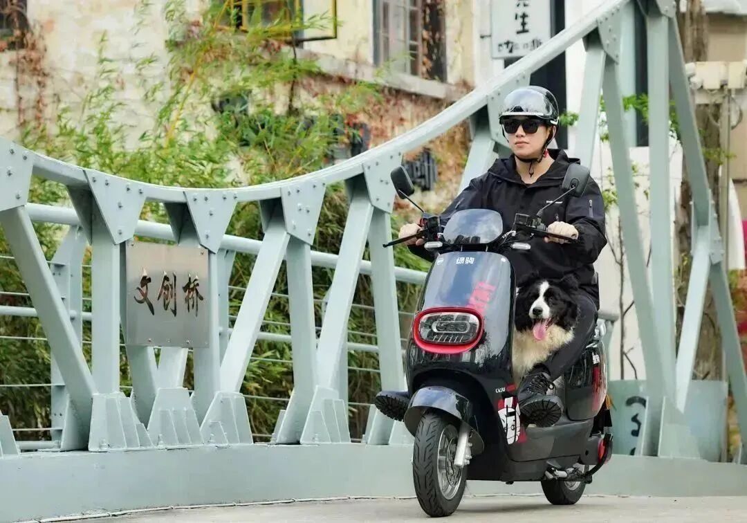 爱宠系列快乐春日