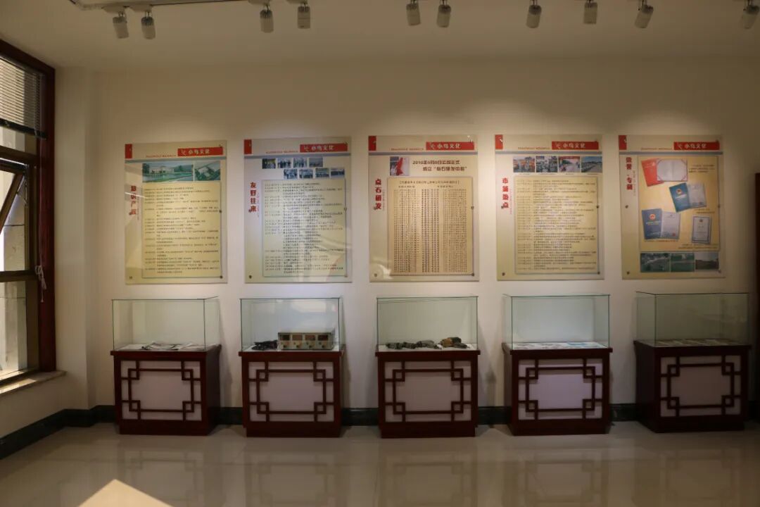 [2024-05-18]小鸟博物馆致力于可持续发展