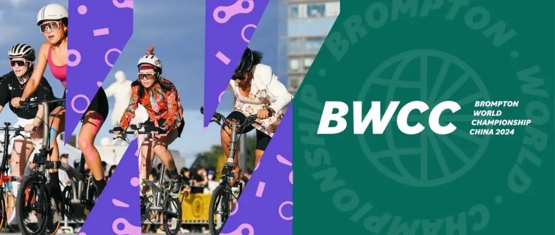 [2024-10-08]上海骑行的3种打开方式拾荒养老逛游乐场