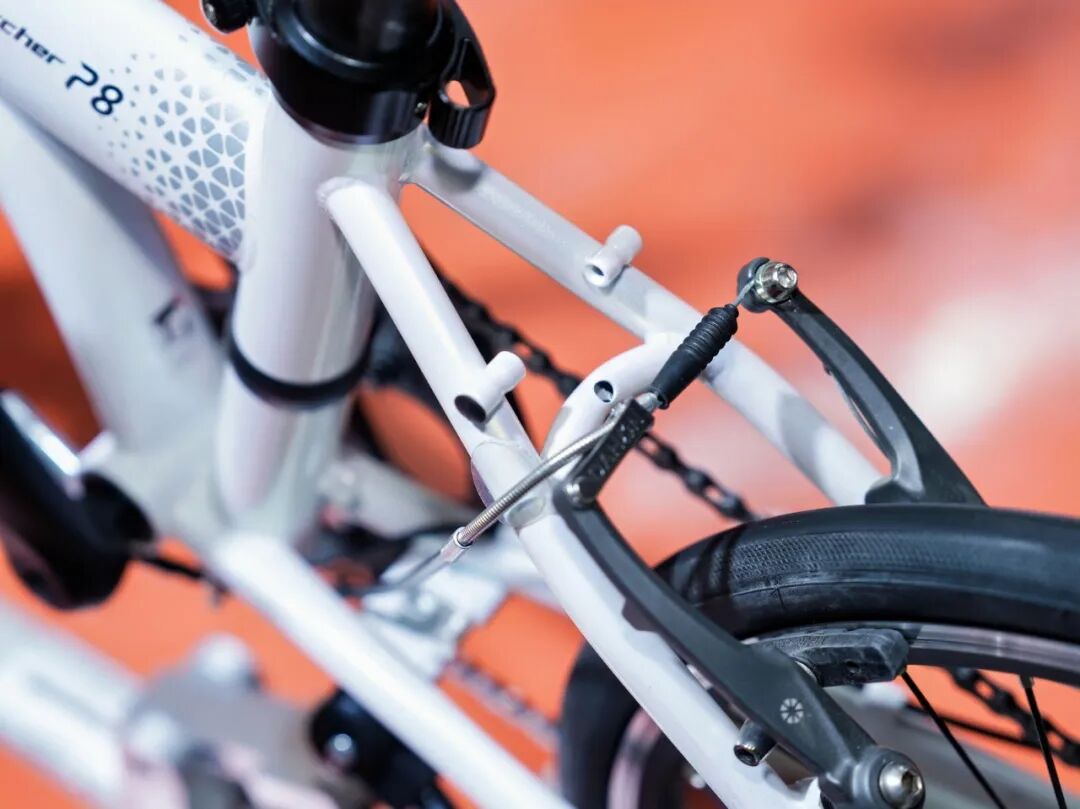 DAHON大行闪耀2025中国展快车道创新力量世界瞩目