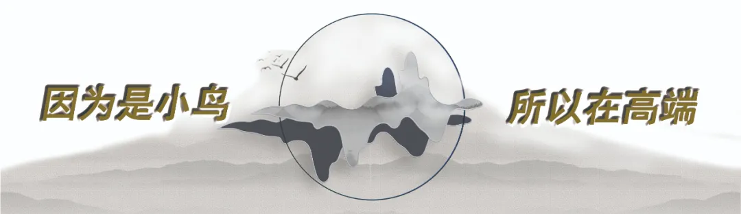 [2024-08-15]如是我小鸟二十年经略出版