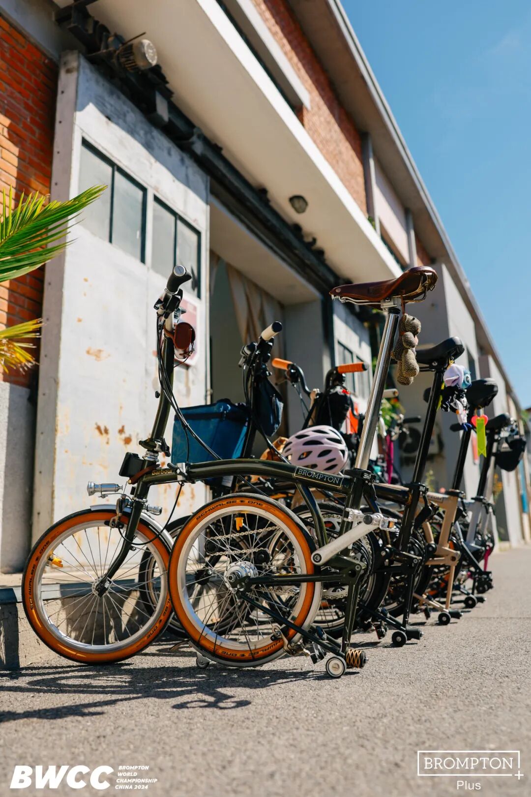 [2024-09-26]BROMPTON世界锦标赛2024中国站有哪些精彩瞬间