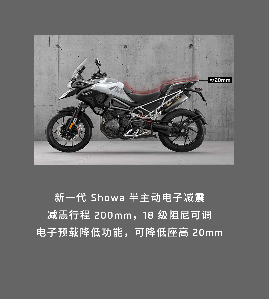 [2025-01-17]鉴虎图Tiger家族全揭秘