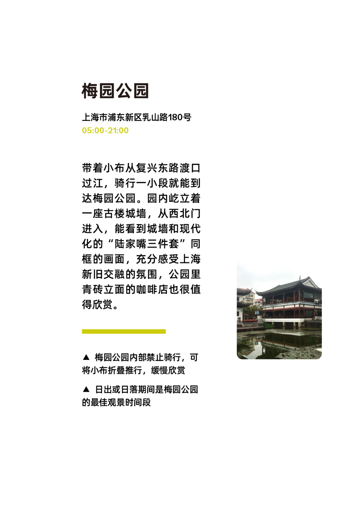 [2024-10-08]上海骑行的3种打开方式拾荒养老逛游乐场