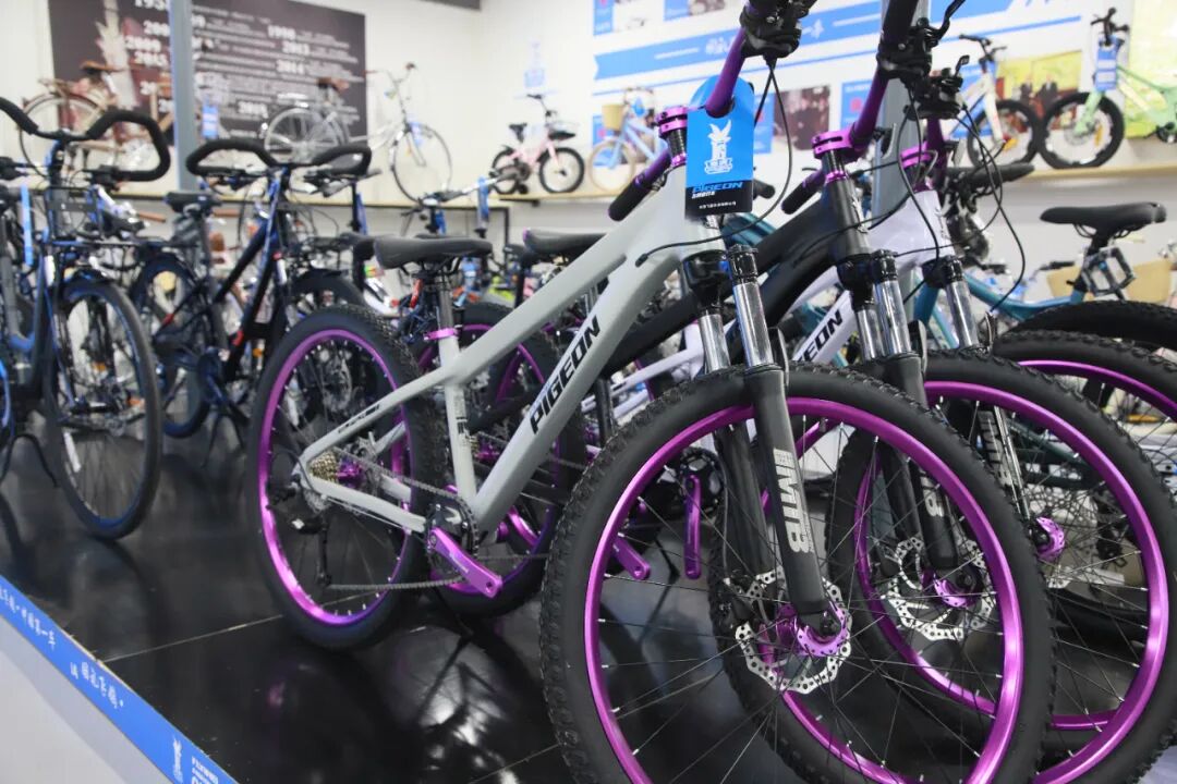 [2025-01-22]中国飞鸽双节发力新产品引爆市场