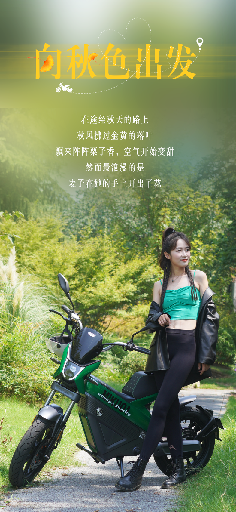 上车一骑平分秋色