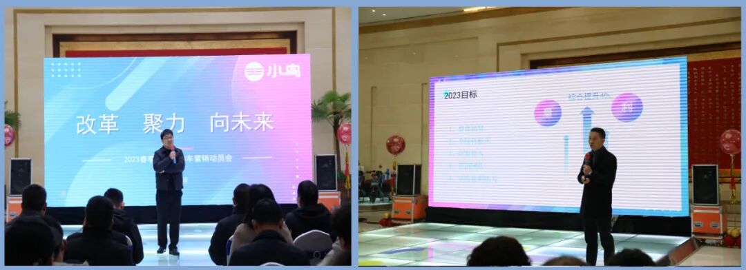 2023小鸟一路春天里