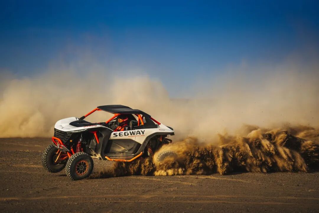 [2024-12-31]2024收官点击查收我们的非凡时刻