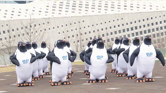 不充Q币冲人气火了