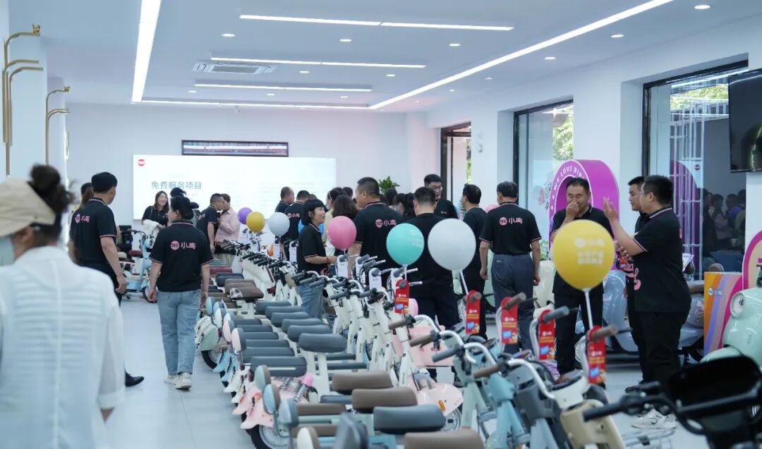 大美小鸟大美终端