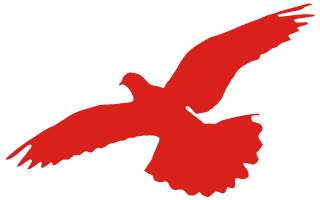 致敬守护者助力国防事业绿驹在行动