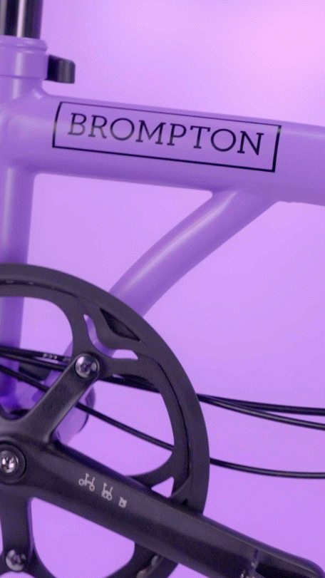 [2024-04-10]神秘的个性的活泼的