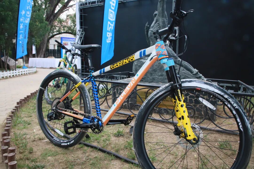 [2025-10-01]中国飞鸽定制手绘车闪耀第十二届和平节中国品牌奏响国际合作强音