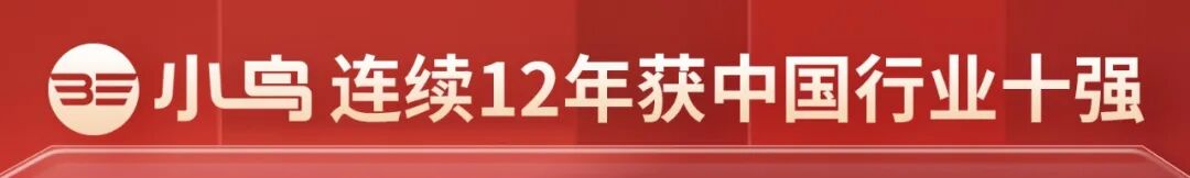 小鸟什么能13年持续领先