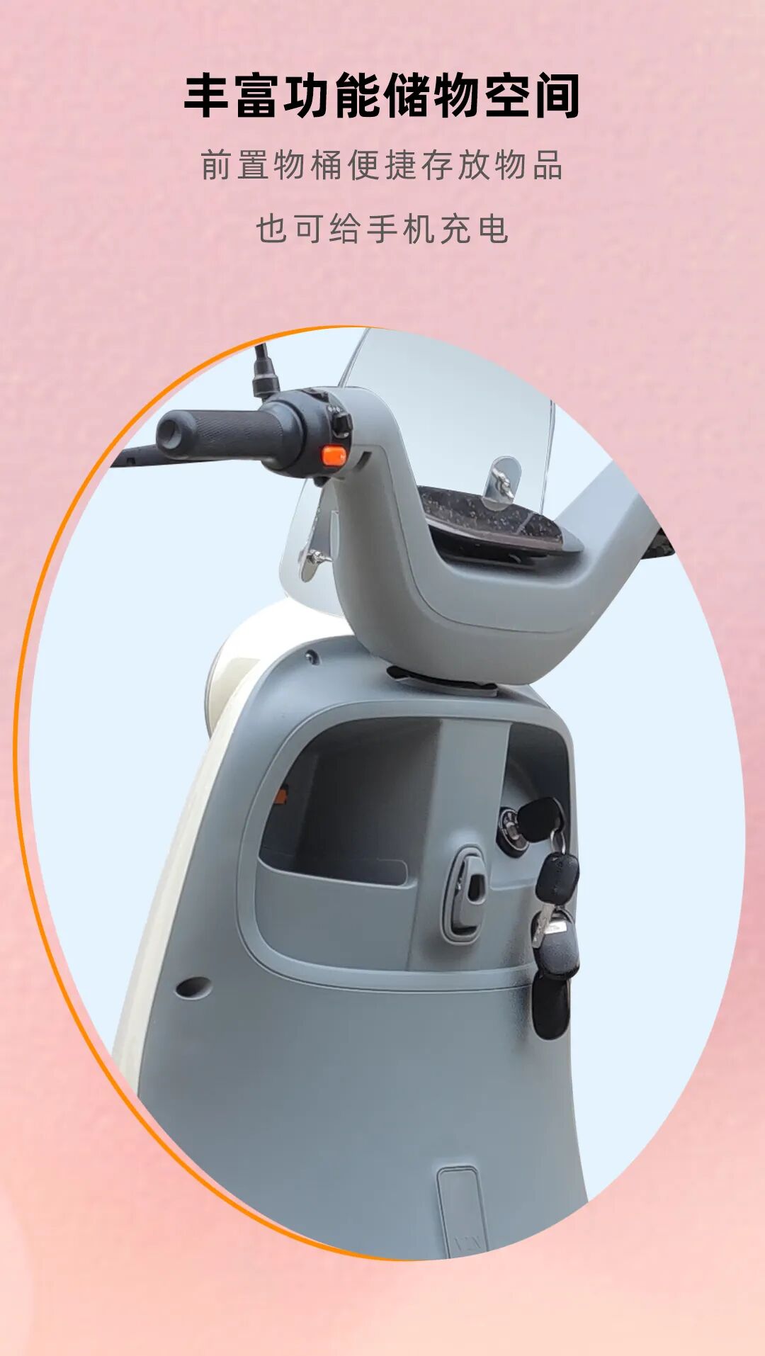 博美DQ1元气精灵靓丽出行