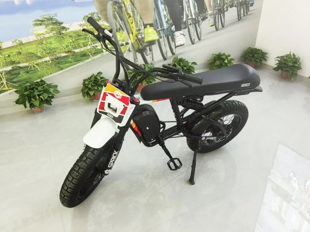 [2024-11-03]鸽舞新谱再创辉煌中国飞鸽2025营销峰会圆满成功