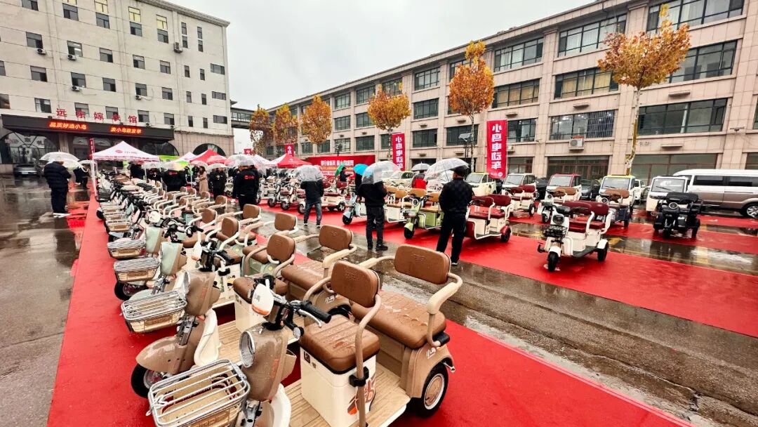 [2024-11-27]发挥优势巩固北方