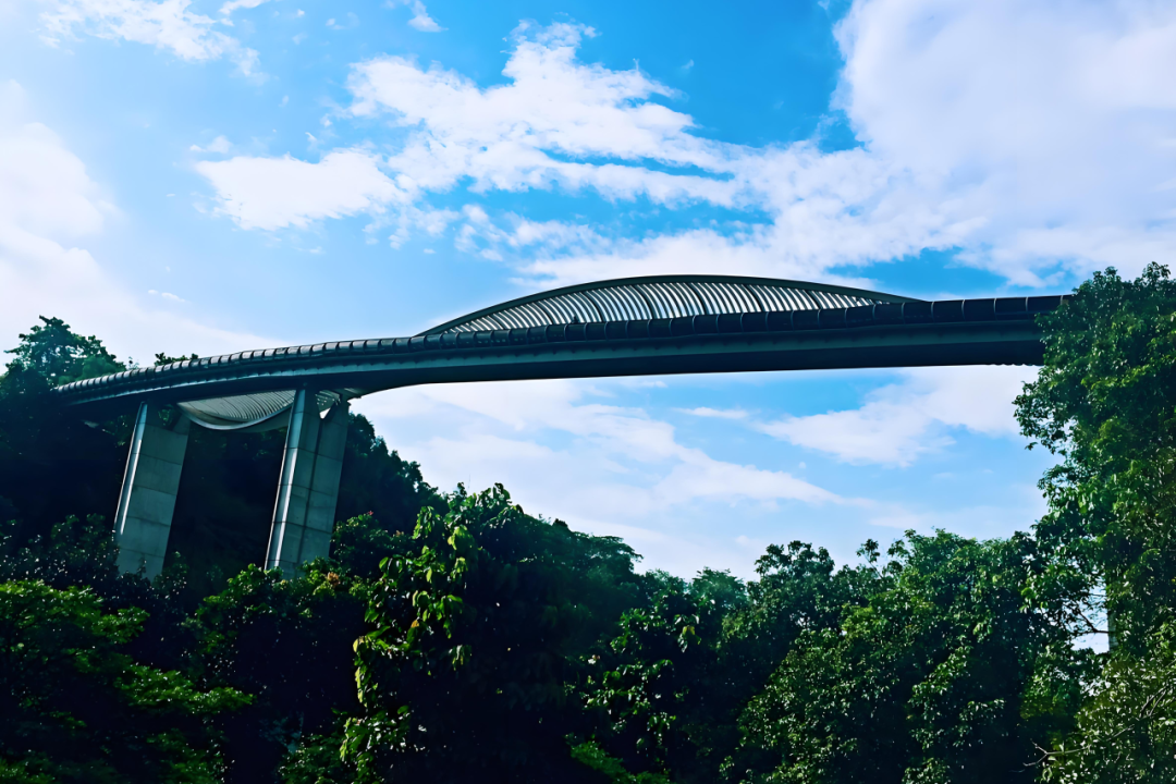 [2025-01-03]新年第一场骑车冒险去狮城槟城和海南过冬天